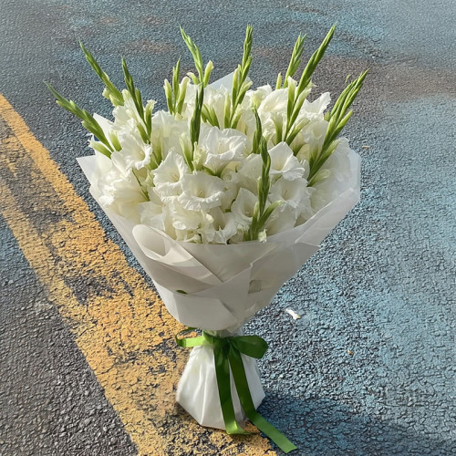 Silent Moon — White Gladiolus Dream